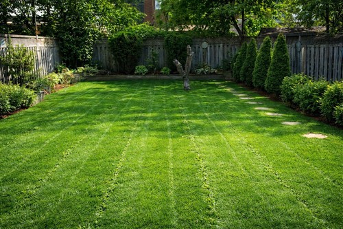 Professional Grass Cutting Service